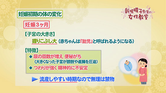 妊娠初期の体の変化 新堀曜子先生の女性教室 Tku テレビ熊本