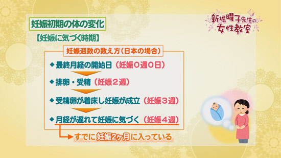 妊娠初期の体の変化について 新堀曜子先生の女性教室 Tku テレビ熊本