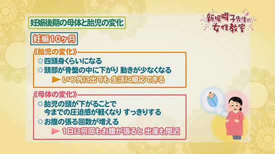 妊娠後期の母体と胎児の変化 新堀曜子先生の女性教室 Tku テレビ熊本