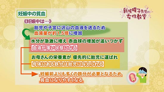 妊娠中の貧血 新堀曜子先生の女性教室 Tku テレビ熊本