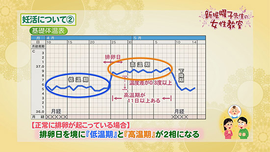 基礎体温 グラフ 妊娠