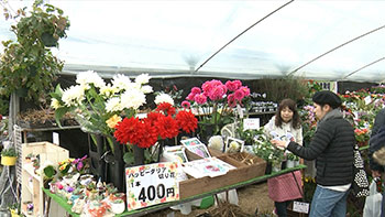 Ja植木まつり 英太郎のかたらんね 密着してよかですか Tku テレビ熊本