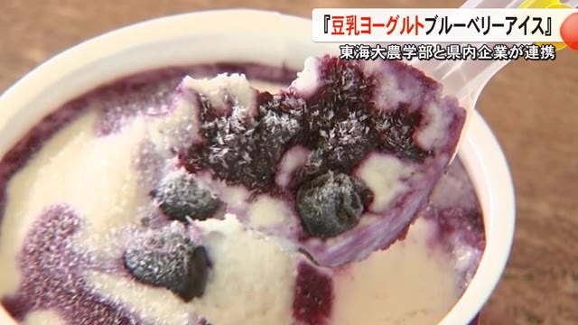 東海大学農学部と連携　豆乳ヨーグルトを使ったブルーベリーアイスクリーム【熊本】