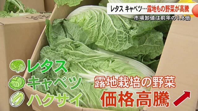 天候不順で野菜の価格高騰【熊本】